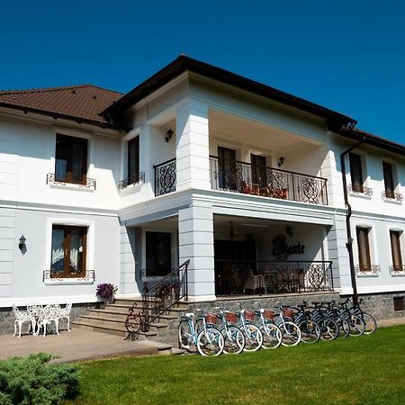 Conacul Dante Hotel Alsópián Kültér fotó