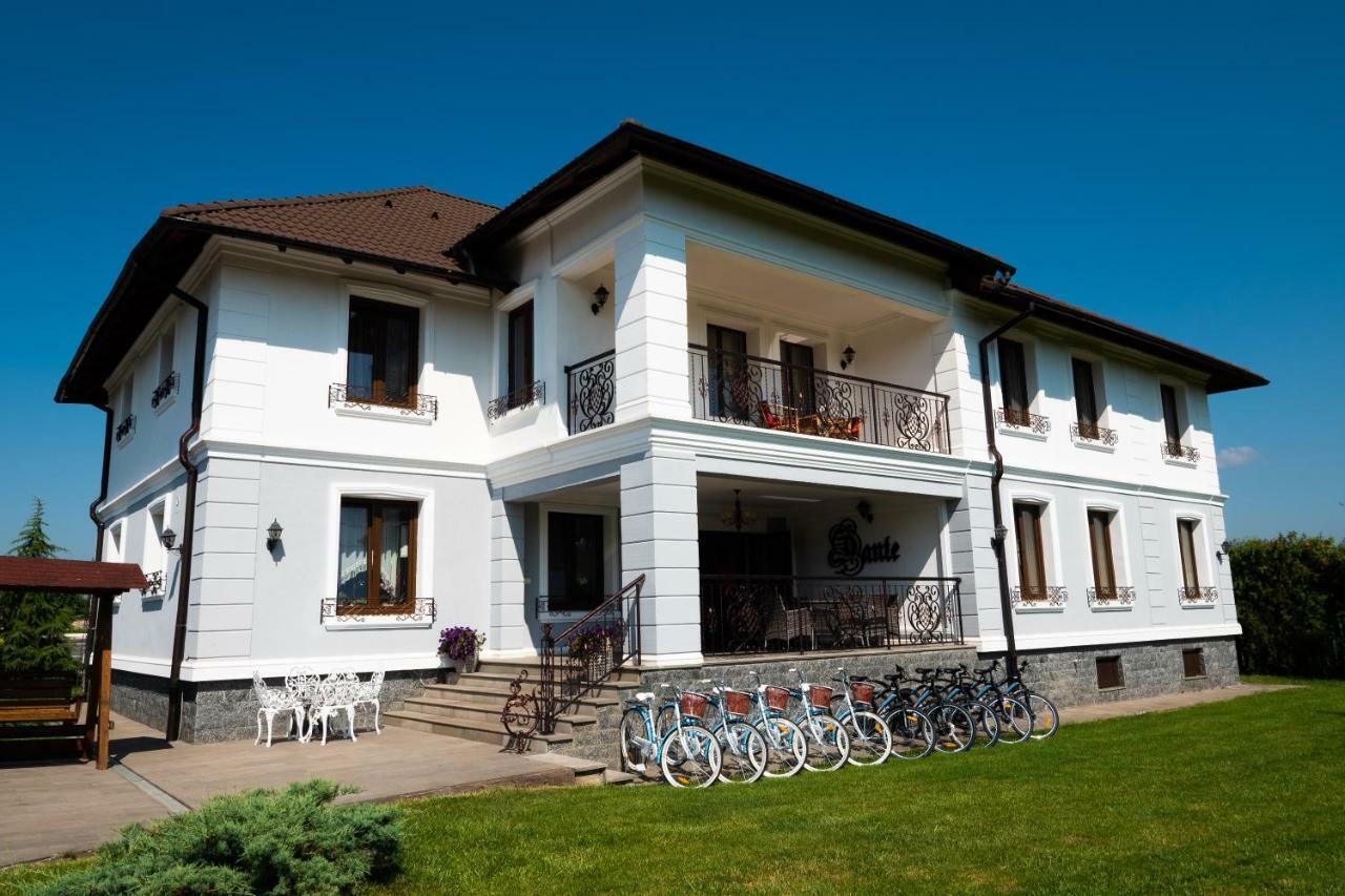 Conacul Dante Hotel Alsópián Kültér fotó